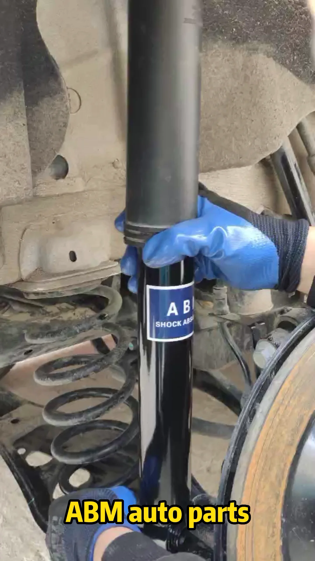 ABM Auto Parts - Adjustable Suspension for BORGWARD Cars