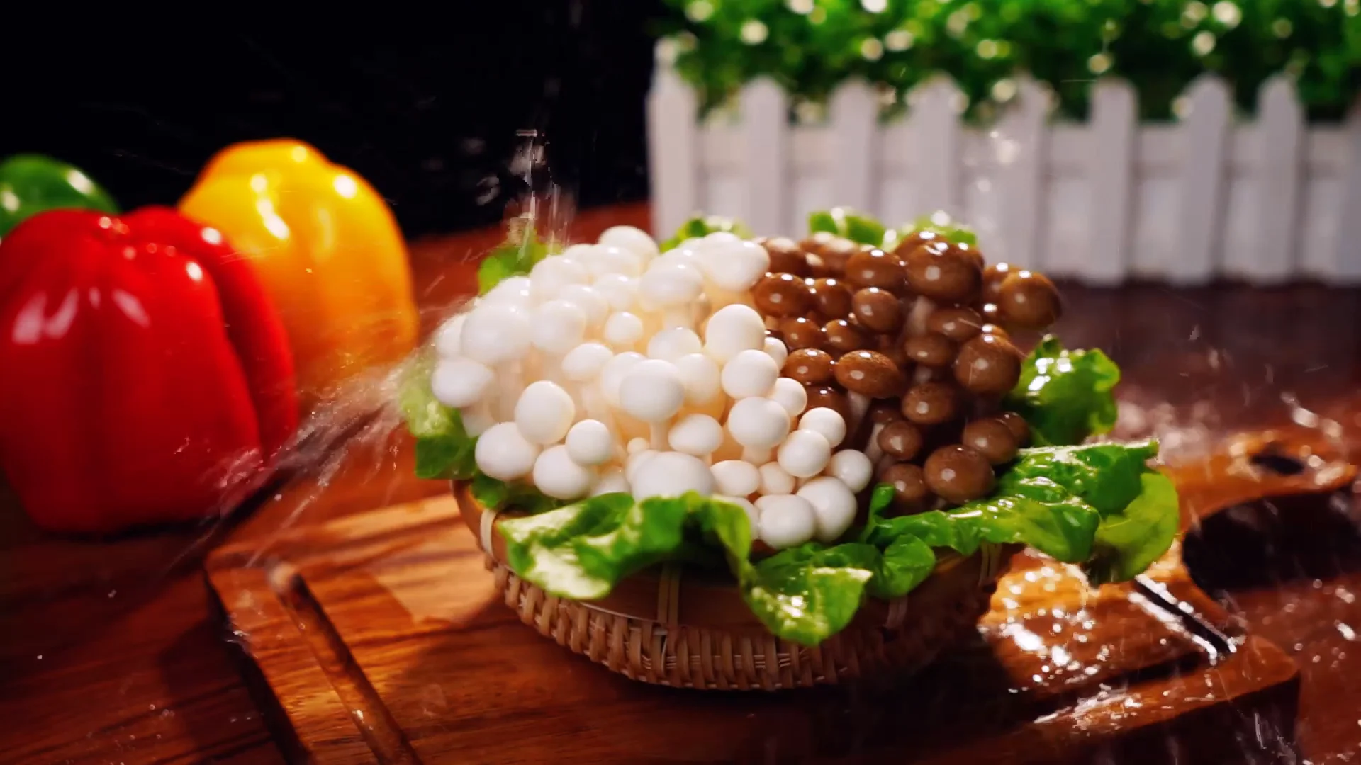 double pin white/brown beech mushroom shimeji mushroom - buy mus