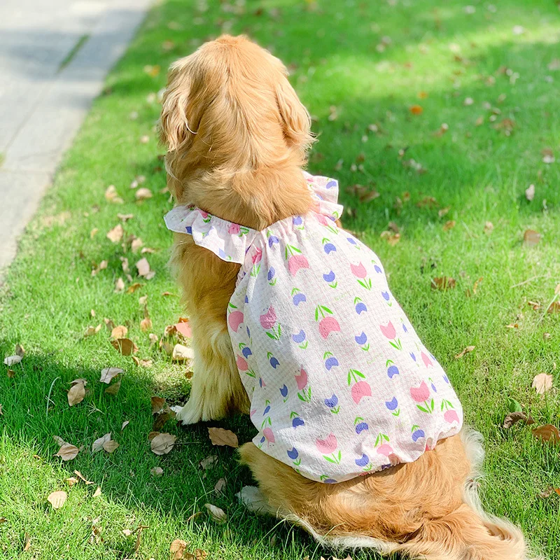 green emerald velvet dress Amazon.com: BETIFUHOM Golden Retriever Dog Onesie Pajamas Halloween Costume  Unisex Cartoon Dog Animal Christmas Cosplay : Clothing, Shoes & Jewelry