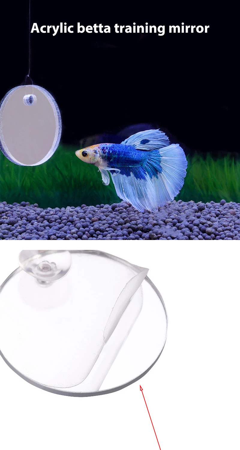 Acrylic Betta Training Mirror Floating Ball Doublesided Mirror Suction