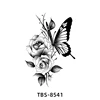 ผีเสื้อ-8541