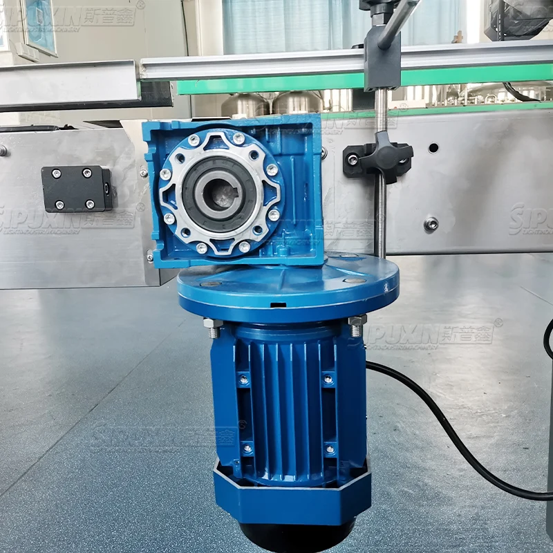 Rotor pump