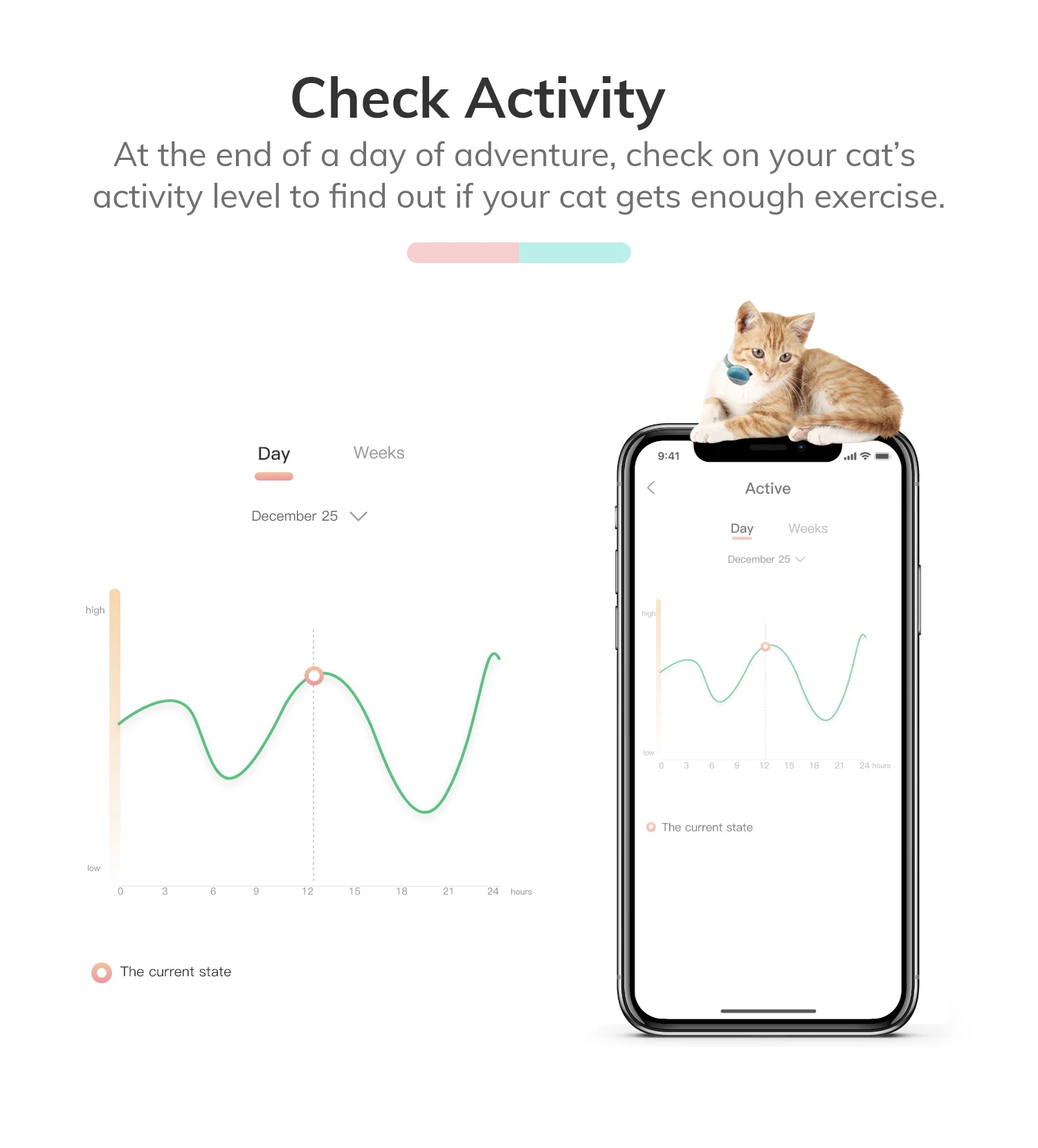 Lei/Pet Smart Pay.Html - 4gbgu68