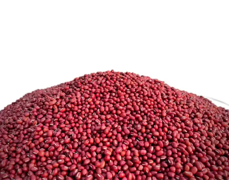 Cheap Red Cowpea Bean Red Vigna Bean Export Grade Small Red Beans for Sale