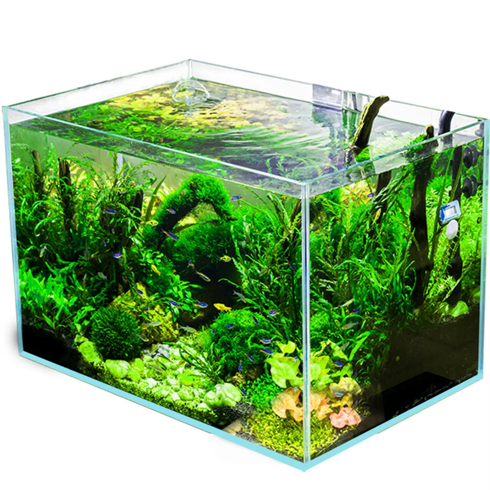 Bemiddelen samenkomen Bepalen Hot Product Aquarium Super White Glass Fish Tank 150*110*130mm 4mm Thick  Gold&beta&jelly Fish - Buy Fish Tank,Aqurarium,Glass Tank Product on  Alibaba.com