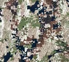 camuflaje verde