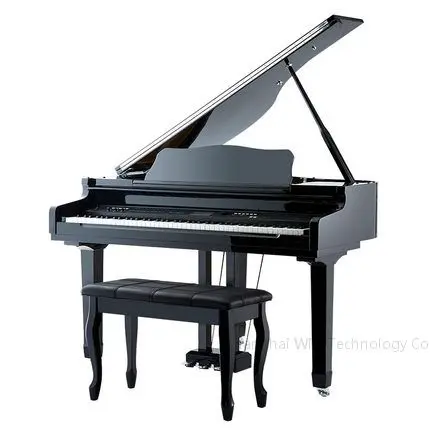 Piano Keyboard Digital