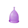 สีม่วง