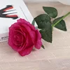 Rose Red