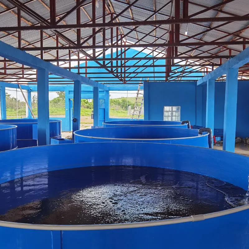 Wholesale Price Professional Factory OEM Custom Indoor Fish Farm Ras System Recirculating Equipment for Sea Water