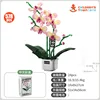 Encounter spring/includes flower pot/578p