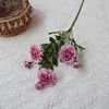rosa morado