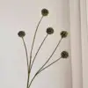 5 ball green