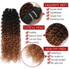 Kinky curly 1B/4/30