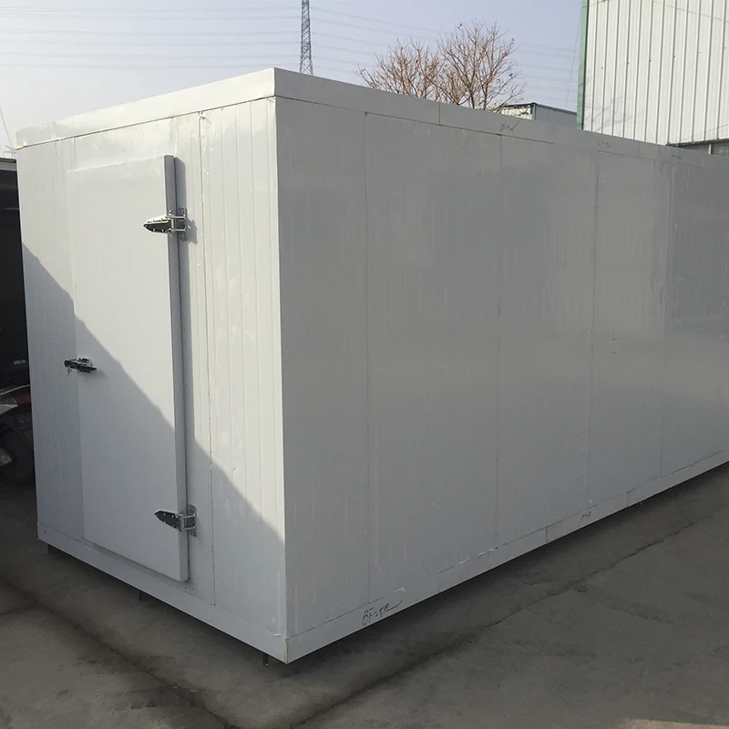 Customized Walk-In Cold Room Freezer Easy Disassembly Storage Equipment with Compressor for Farm Refrigeration