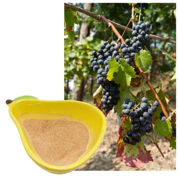 ORGANIC WATER SOLUBLE FERTILIZER FISH PROTEIN HYDROLYSATE FOR VEGETABLES AND FRUITS