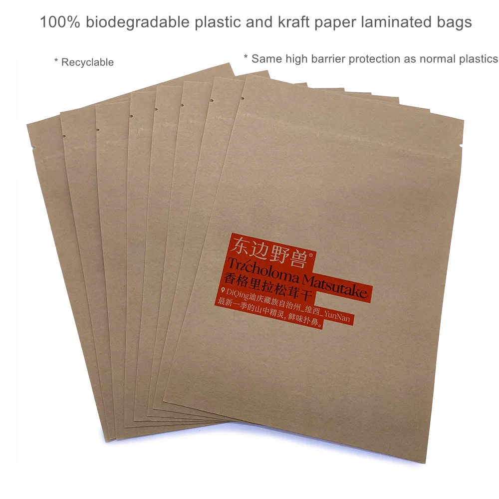 Custom Printed Biodegradable Zip Lock Pouch Brown Kraft Paper Bag Food