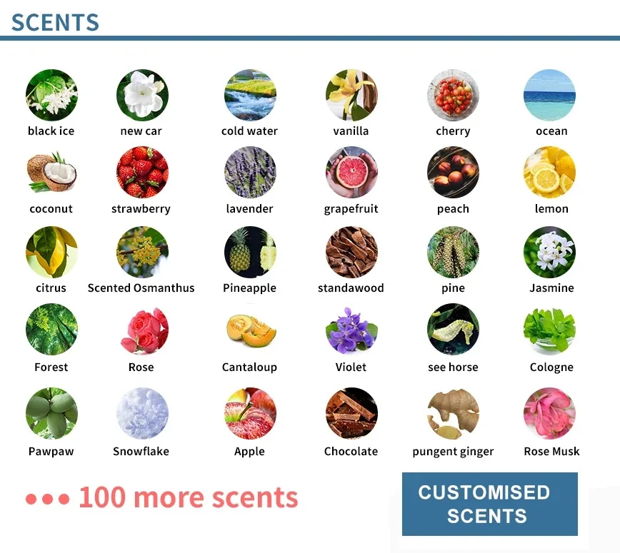 Promotional Customized Design Car Air Freshener /custom Paper Air