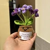 Plante en pot myosotis violet