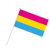 pansexual