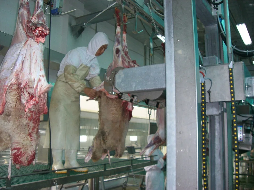 All-in-one goat and lamb slaughtering equipment for small and medium-sized slaughterhouses