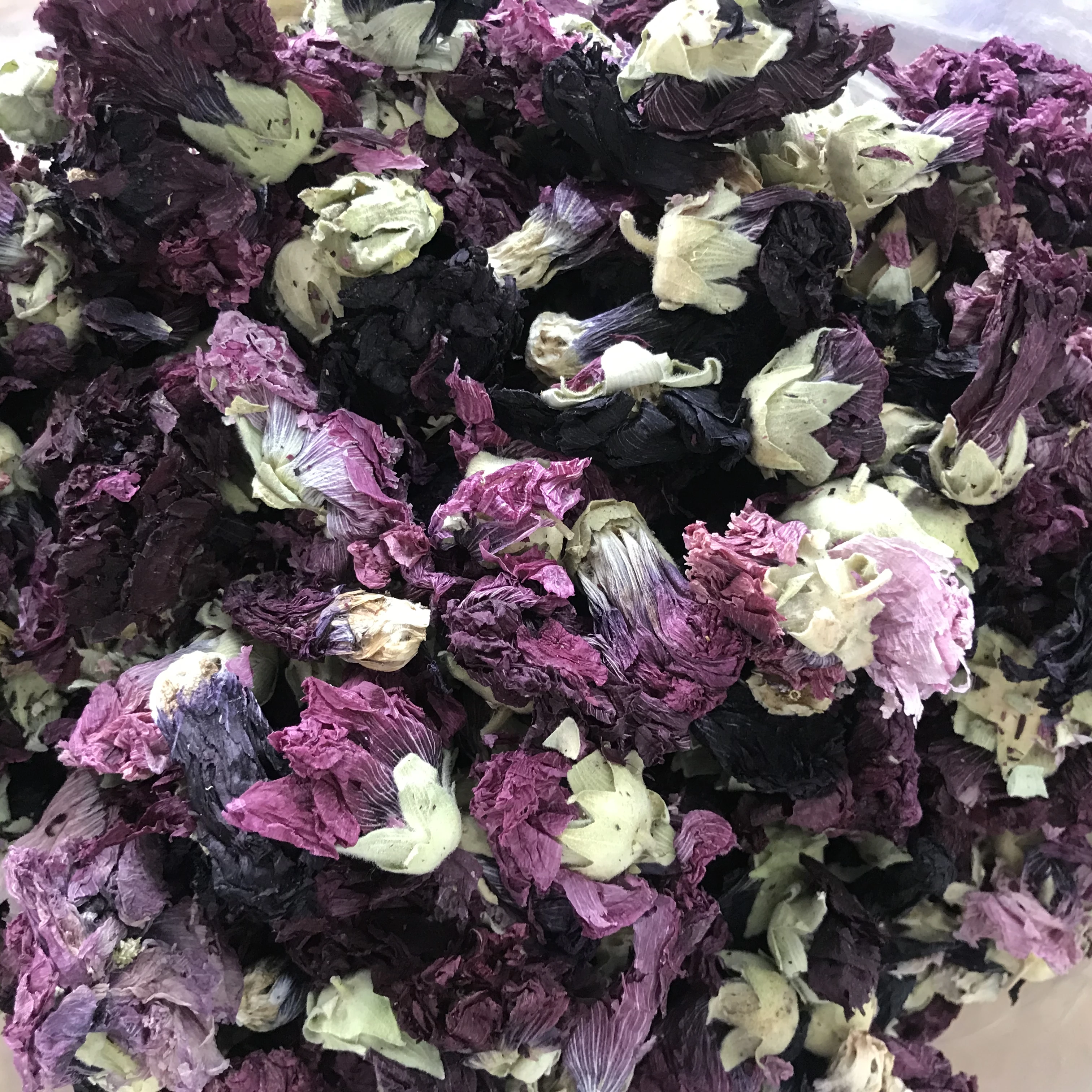 4080 Fu Rong Hua Natural Fresh Flower Tea for Healthy Benefits Dry Hibiscus Flower