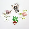 Plants Scents
