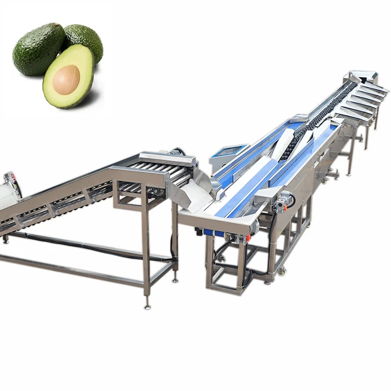 Avocado Automatic Citrus Clam Guava Chicken Bolt Candy mango Fruit Cleaning Sorting Machine