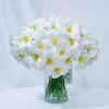 สีขาว