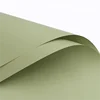 6-Vert pin de mer