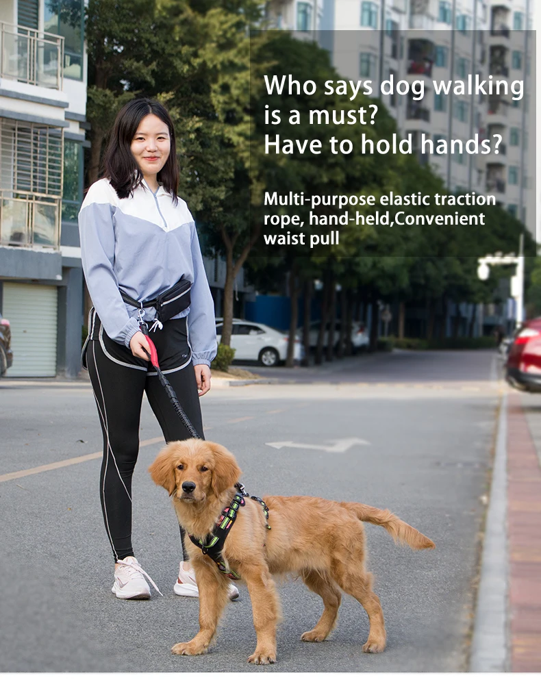 High Quality Dog Leashes Hands Free Dog Leash With Bag Running Jogging