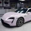 Manta viola