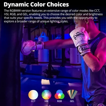 GODOX LDX50R /50BI /LDX100R/100BI RGB Full Color Fill Light LED Video Light Panel Support App Control for Live Video Photography detail image