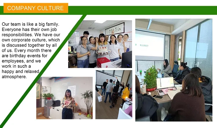 Company Culture