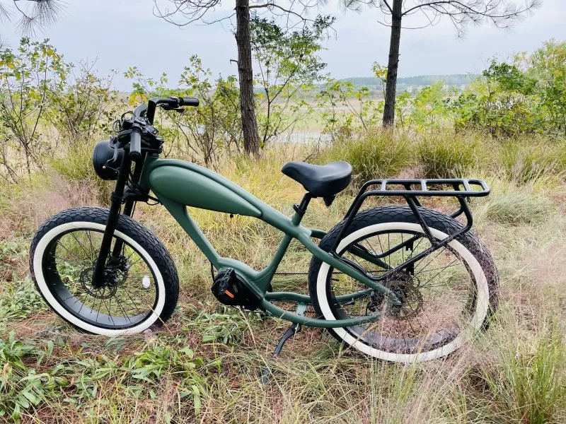 schwinn - collegiate bicycle Schwinn Collegiate Vintage Steel Ladies Bike, 5-speed - Made in Chicago  green - TXDT | Used Bikes for Sale - Silicon Valley Bicycle Exchange