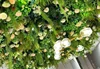 Emerald Fragrance