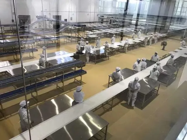 Бойня, пищевая промышленность, бойня, промышленная линия по производству мяса