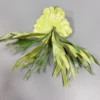 Small 37cm