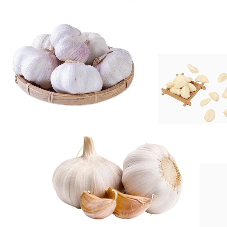 Supply New Crops With Low Price Fresh Manufacturer High Quality White Garlic Chinese