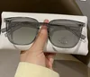 Translucent gray [Photochromic black and gray]