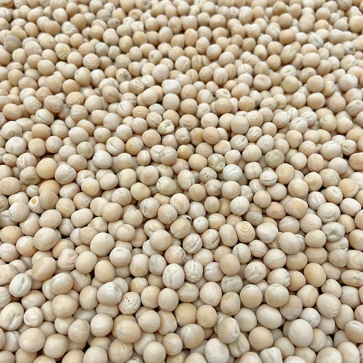 Wholesale White Peas Bean With Shell Grains Dry Bird Food Pigeon Feed
