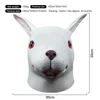 Lapin blanc