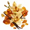 Orquídea Ámbar y Vainilla