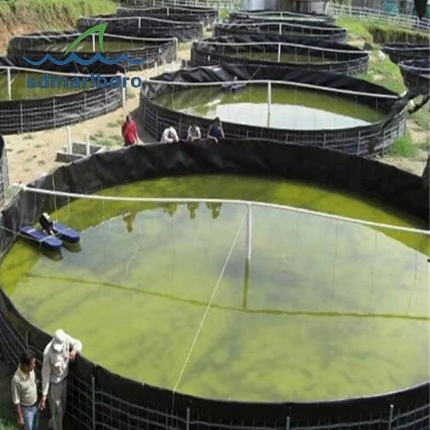 Большой пластиковый резервуар для выращивания креветок из ПВХ