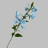 Blu-chiaro