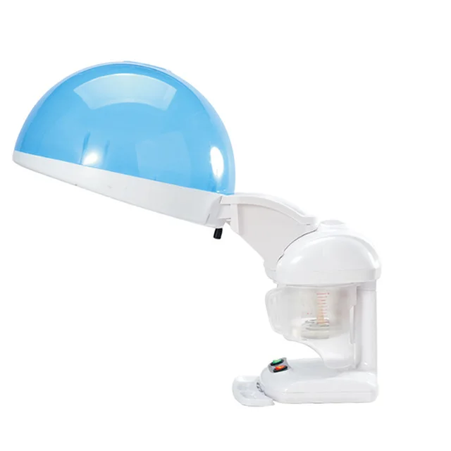 hand steamer for hair