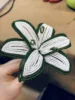 Bianco Verde