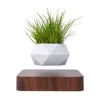 dark wood color