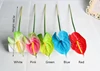 Blanc/rose/vert/bleu/rouge