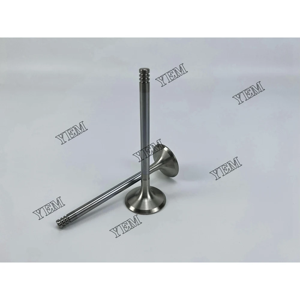 For Deutz Engine F2L1011F Intake Valve 0428-0049 Industrial Engine Parts 2